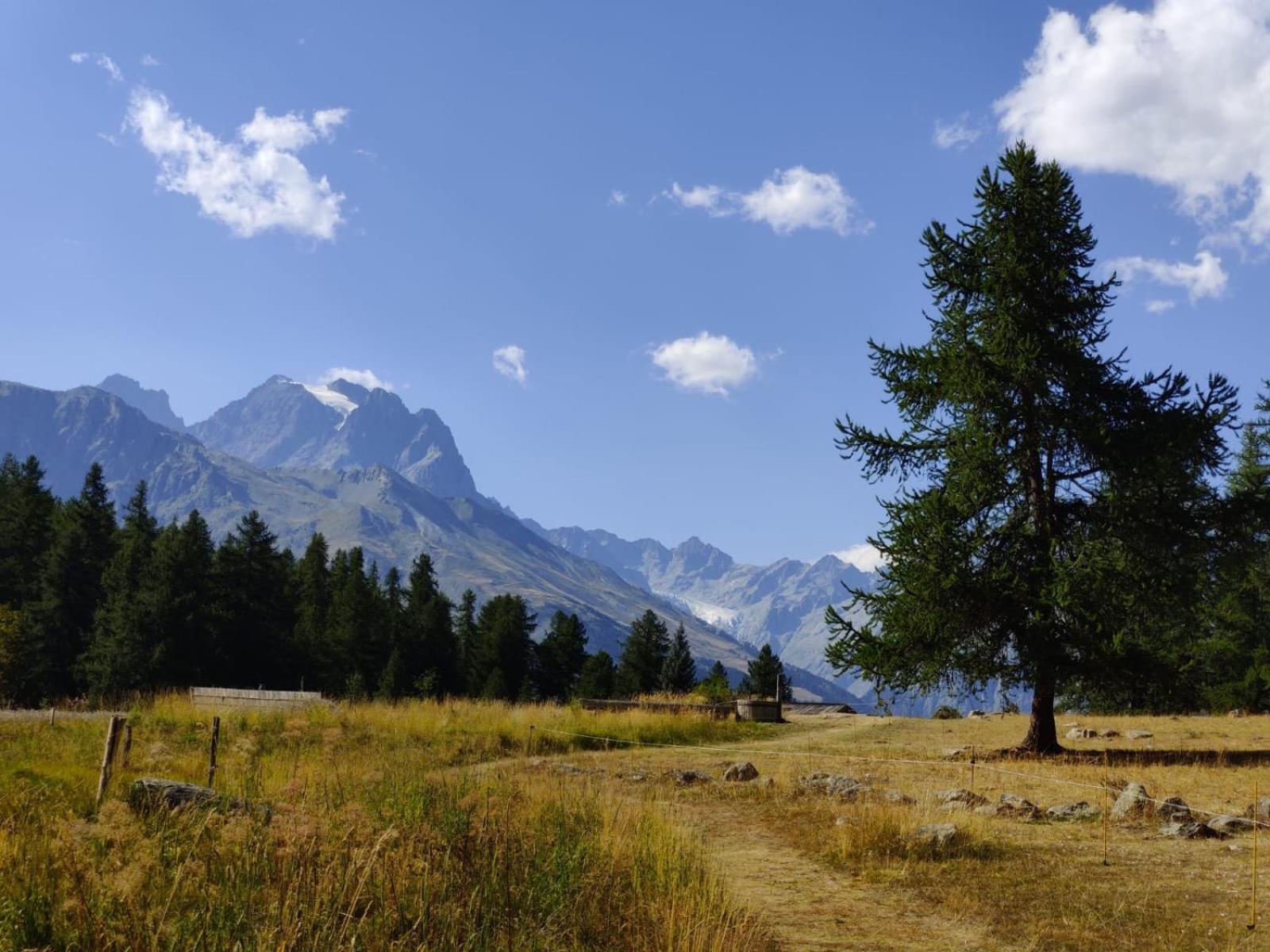 "La Batisse Des Pres" Daire Puy-Saint-Vincent Dış mekan fotoğraf