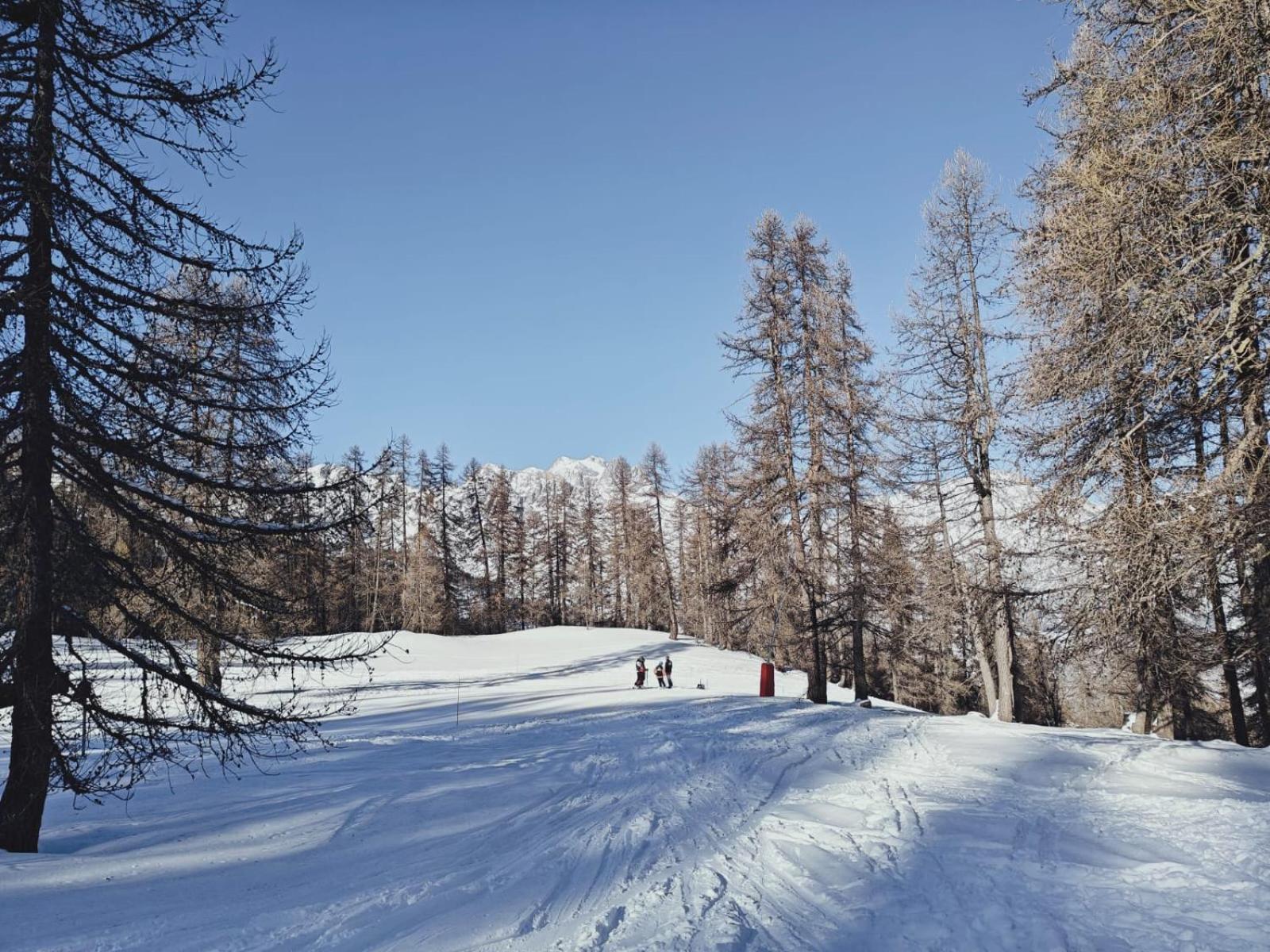 "La Batisse Des Pres" Daire Puy-Saint-Vincent Dış mekan fotoğraf